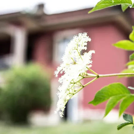 Villa Patti per gruppi fino a 20 persone, con piscina privata, camino e grande giardino nelle colline marchigiane-2